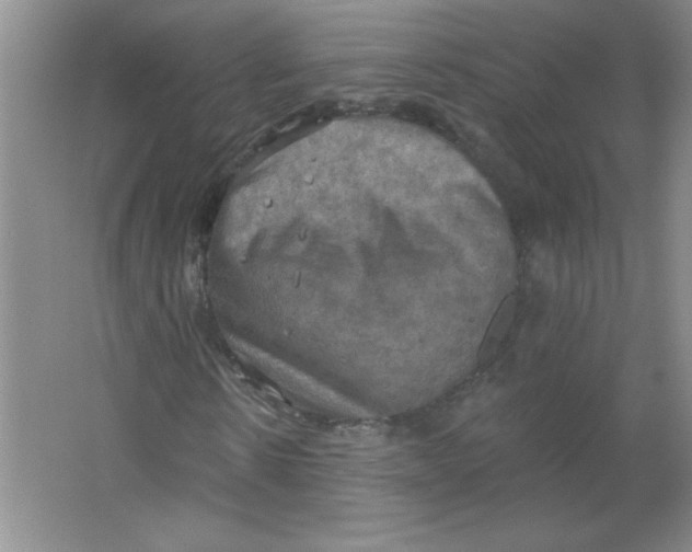 X0000063510914200602101921