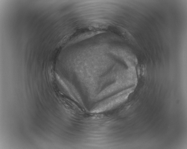 X0000063510915200602101921