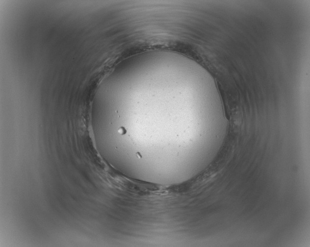 X0000063510916200602101921