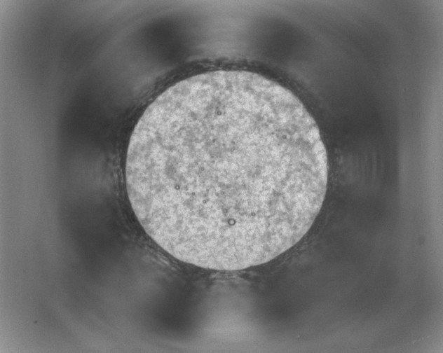 X0000063510918200602101921