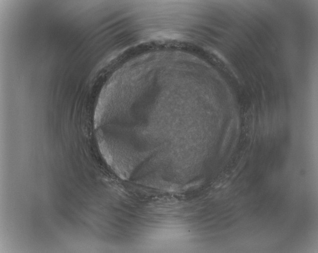 X0000063510919200602101921