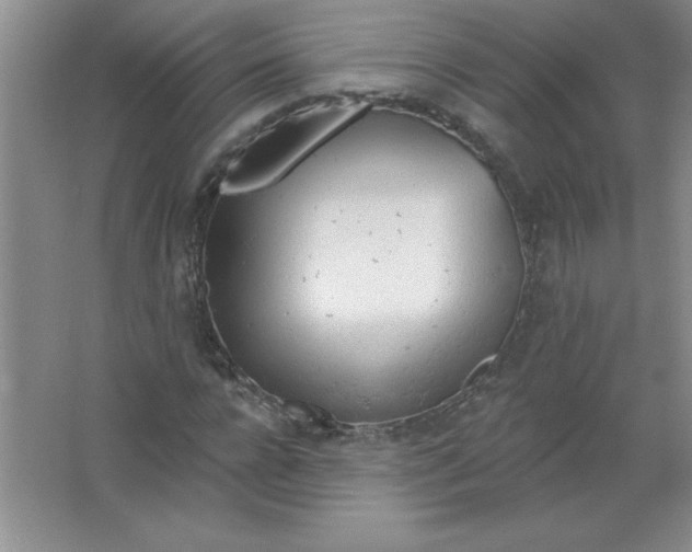 X0000063510920200602101921