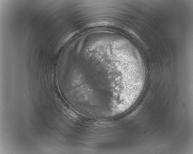 X0000063510921200602101921