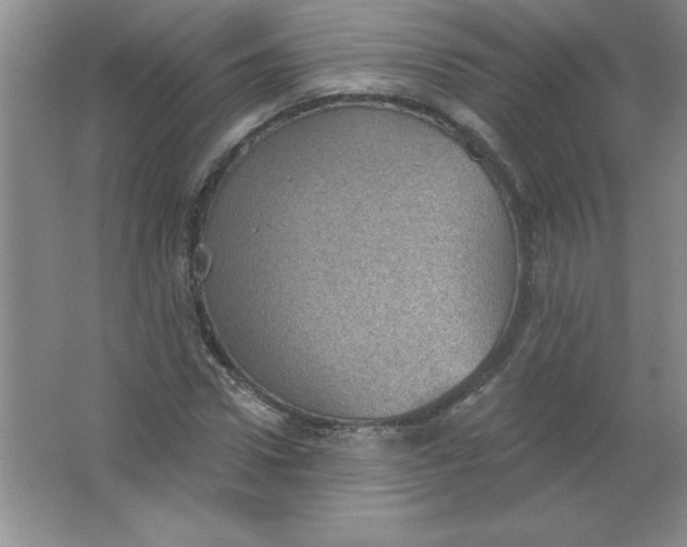 X0000063510922200602101921