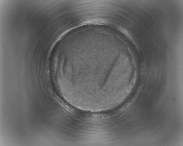 X0000063510923200602101921