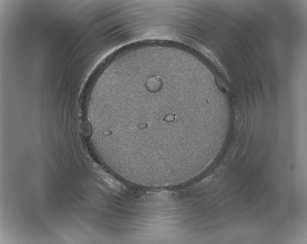 X0000063510926200602101921