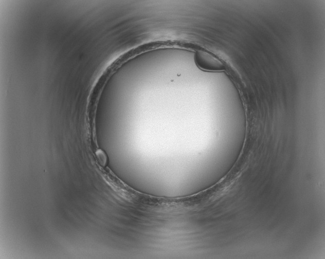 X0000063510927200602101921