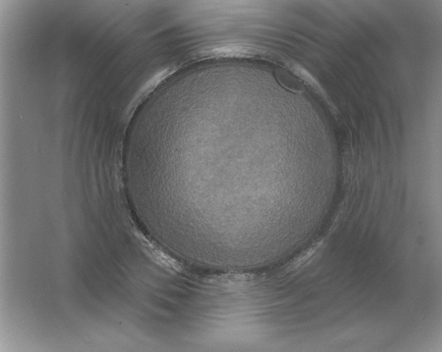 X0000063510930200602101921