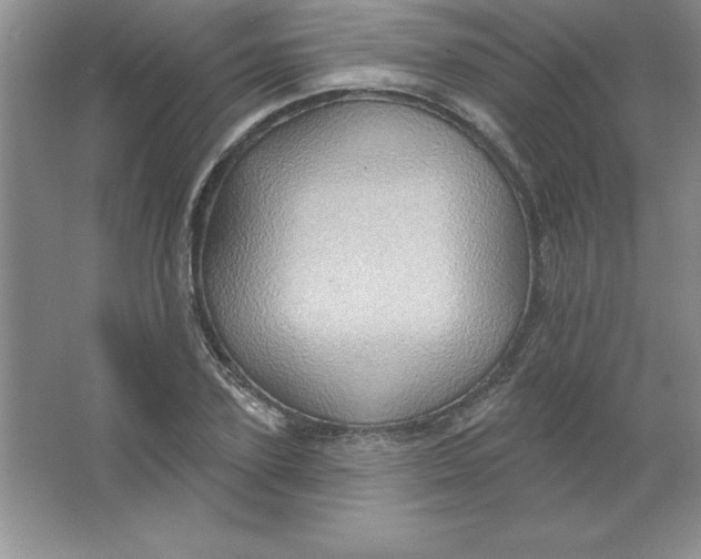 X0000063510931200602101921