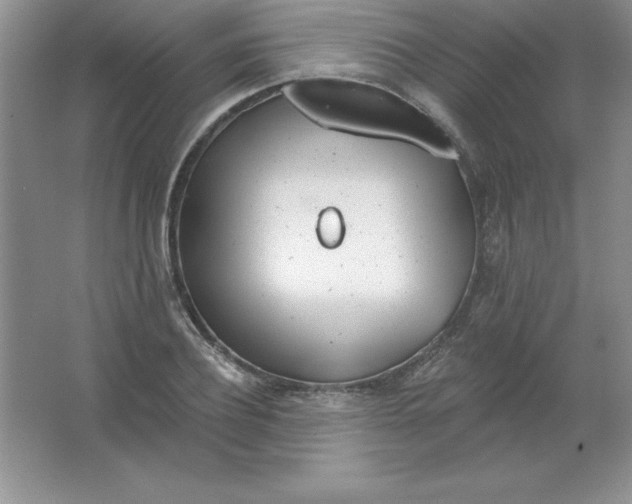 X0000063510932200602101921