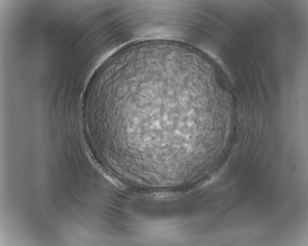 X0000063510933200602101922