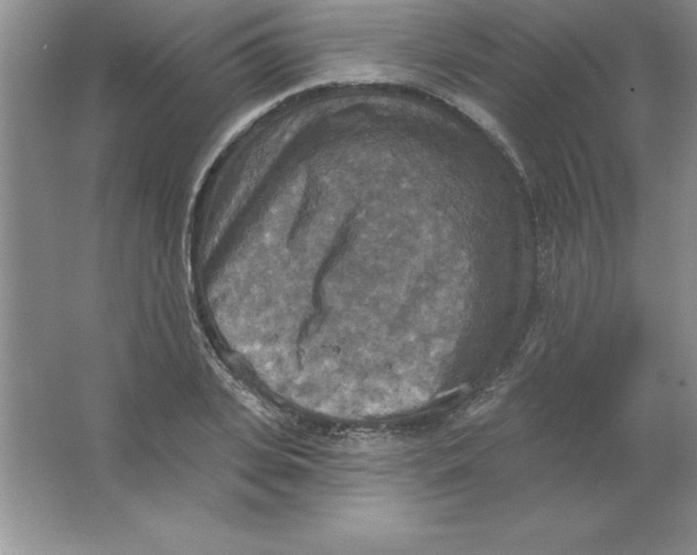 X0000063510935200602101922