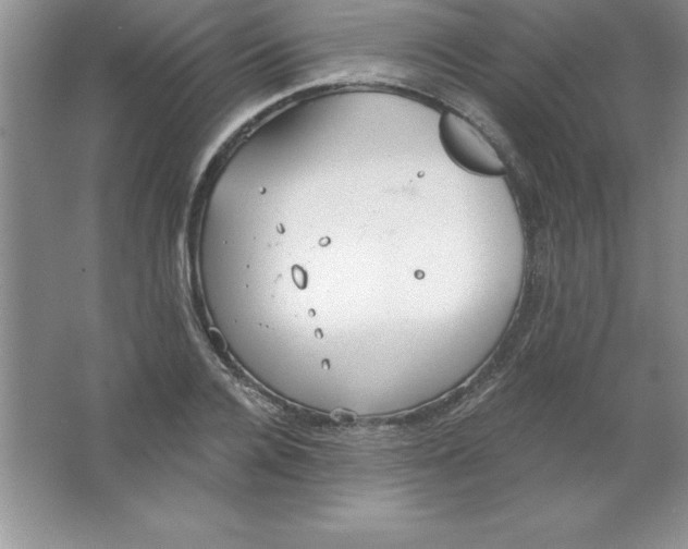 X0000063510936200602101922