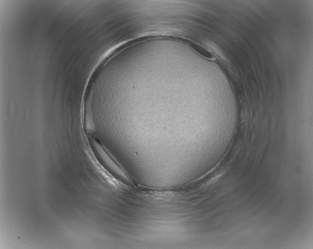 X0000063510940200602101922