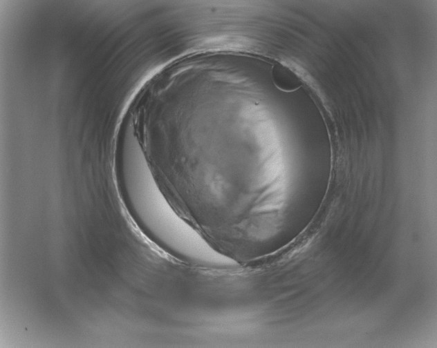 X0000063510941200602101922