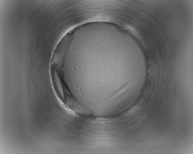 X0000063510942200602101922