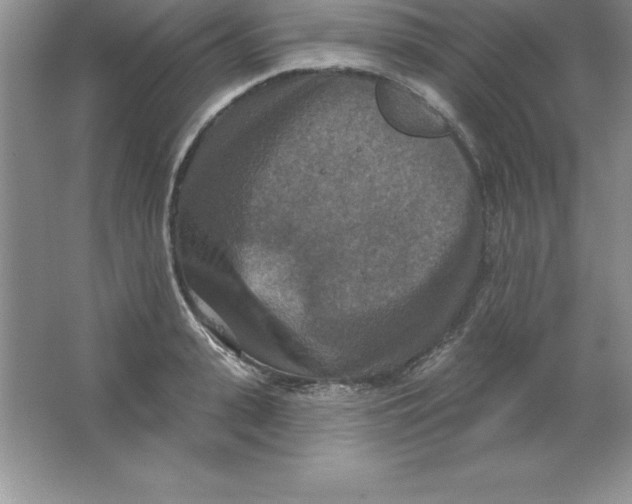 X0000063510943200602101922