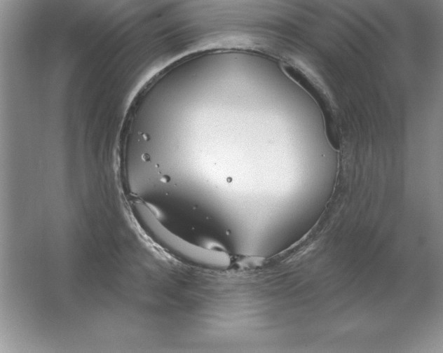 X0000063510944200602101922