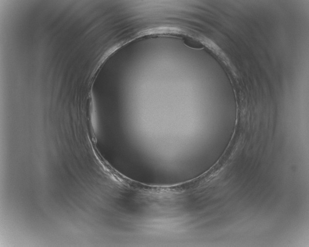 X0000063510945200602101922