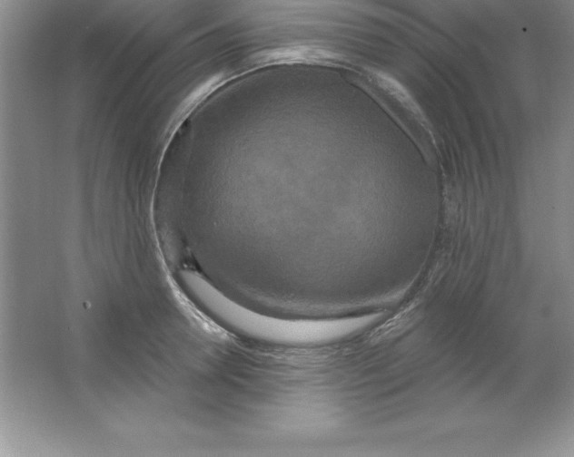 X0000063510946200602101922