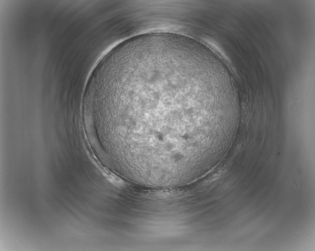 X0000063510948200602101922