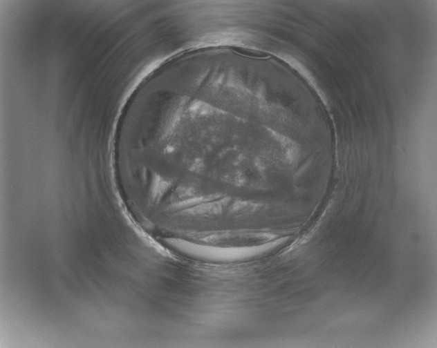 X0000063510949200602101922