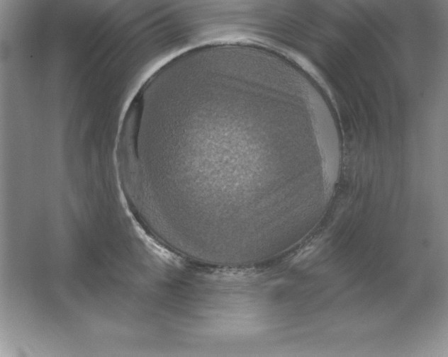 X0000063510951200602101922