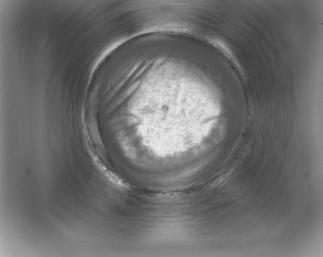 X0000063510952200602101922