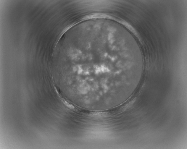 X0000063510953200602101922