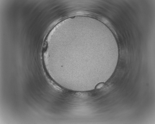 X0000063510954200602101922