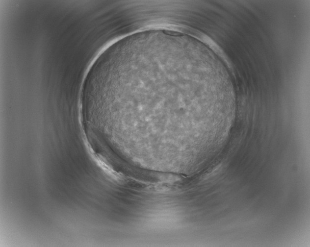 X0000063510955200602101922