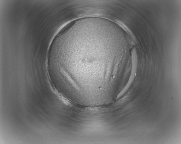 X0000063510956200602101922