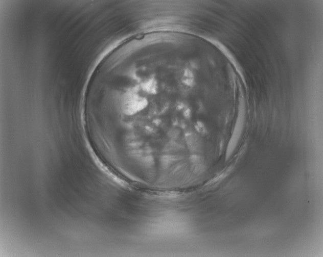 X0000063510957200602101922