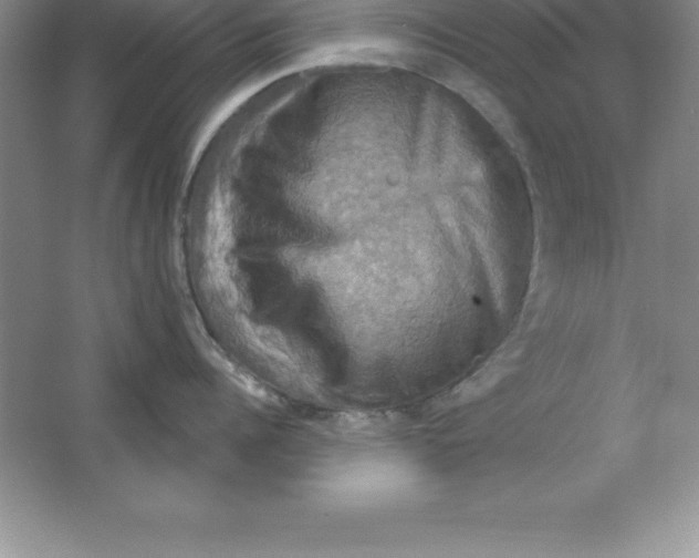 X0000063510960200602101922