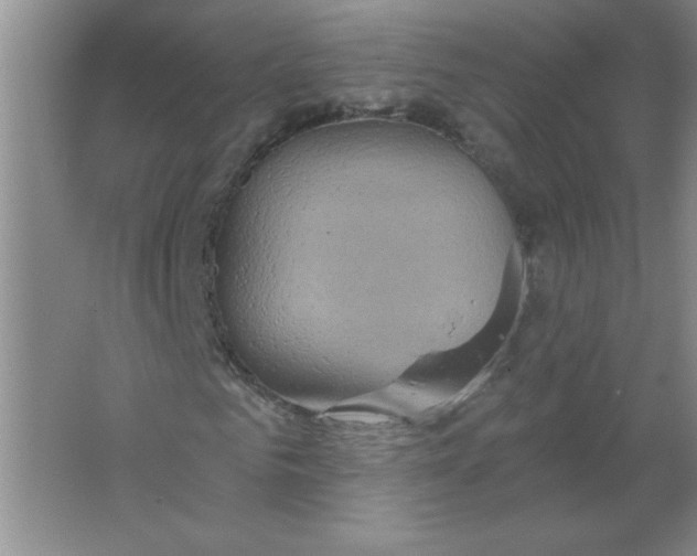 X0000063510961200602101921