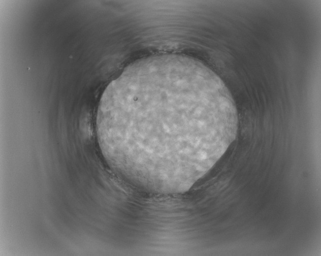 X0000063510962200602101921