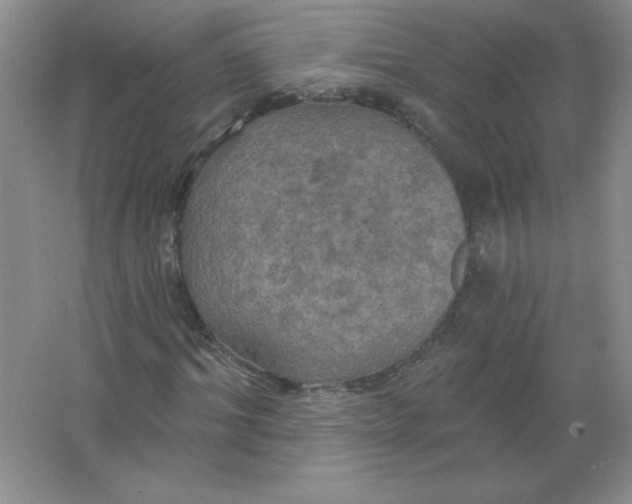 X0000063510964200602101921