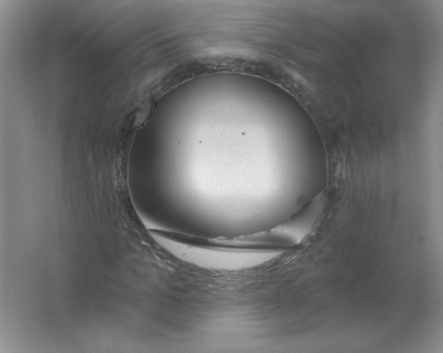 X0000063510965200602101921