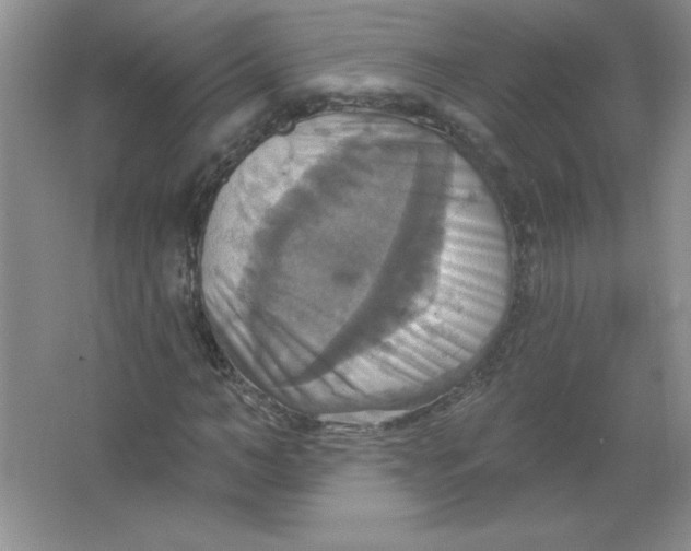 X0000063510966200602101921