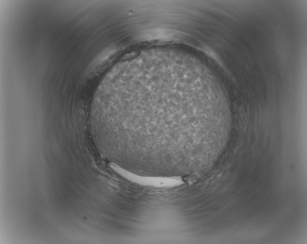 X0000063510967200602101921