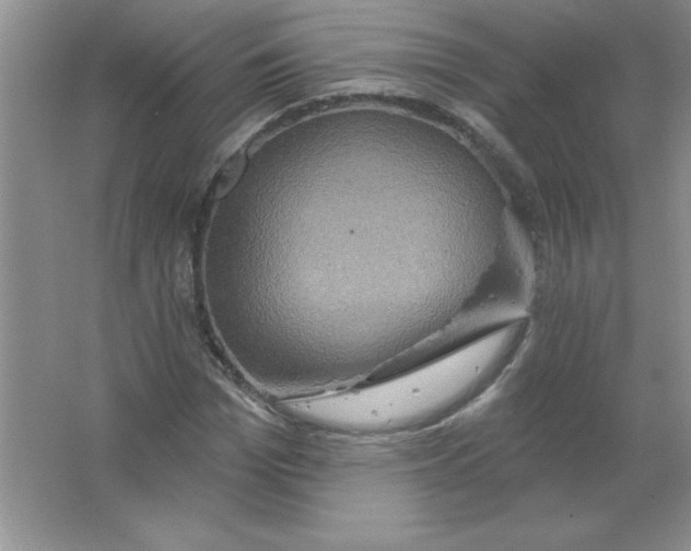 X0000063510969200602101921