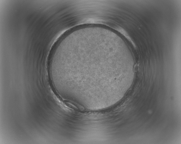 X0000063510972200602101921