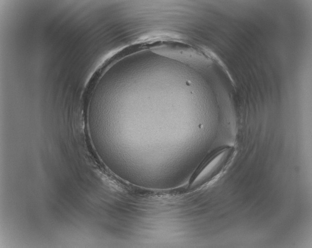 X0000063510973200602101921