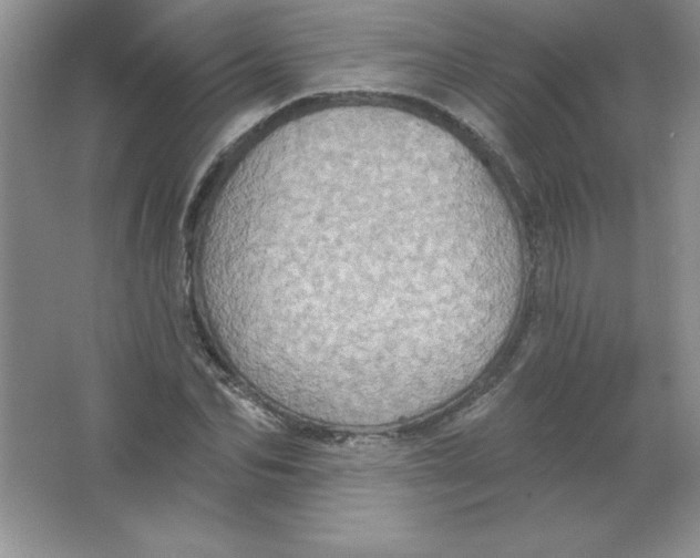 X0000063510974200602101921