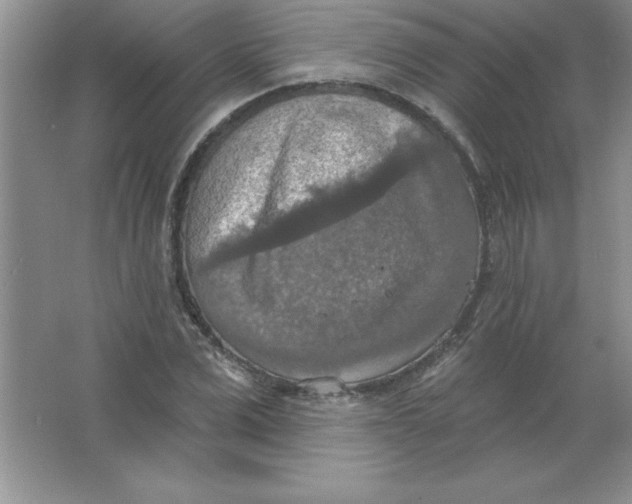 X0000063510975200602101921