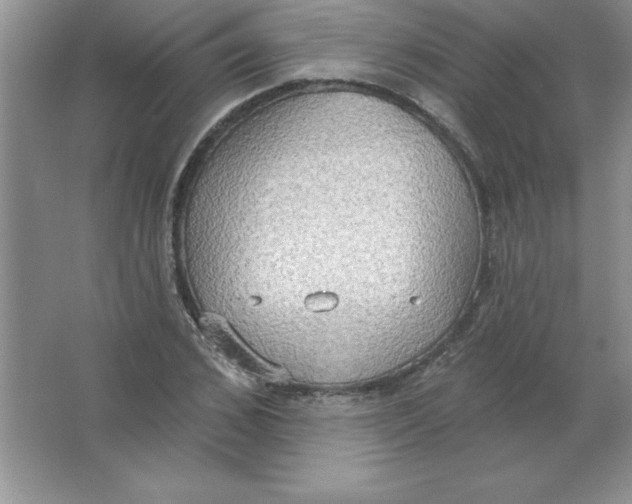 X0000063510976200602101921