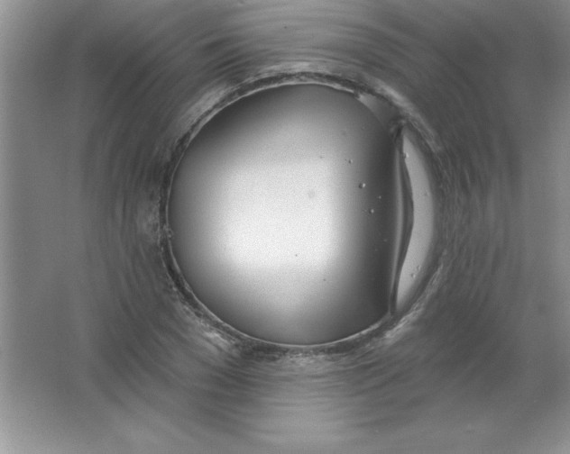 X0000063510977200602101921