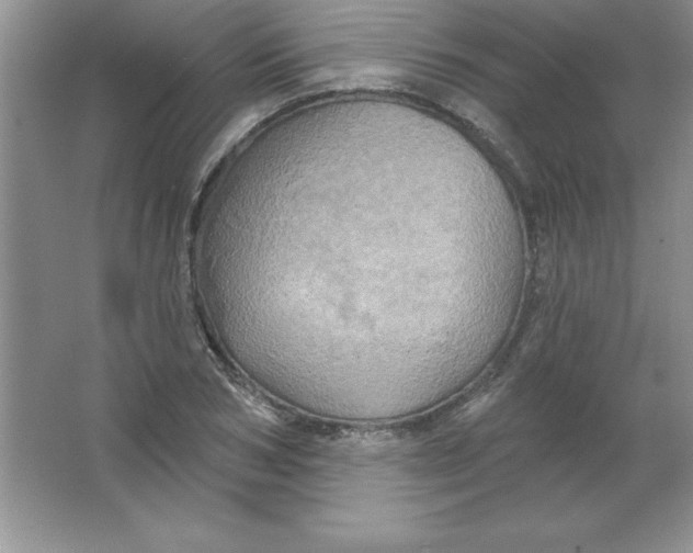 X0000063510978200602101921