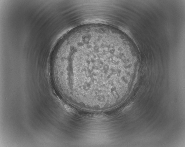 X0000063510979200602101921