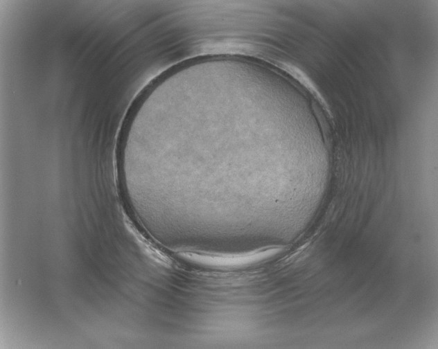 X0000063510980200602101921